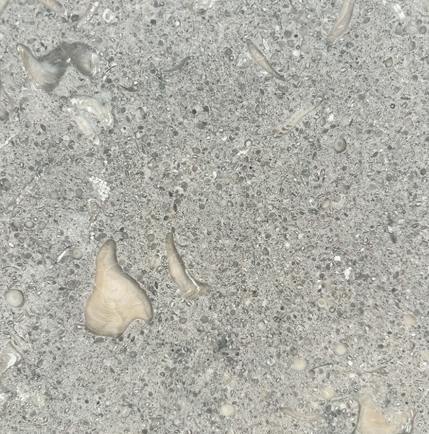 PALLISADE - Flared & Brushed