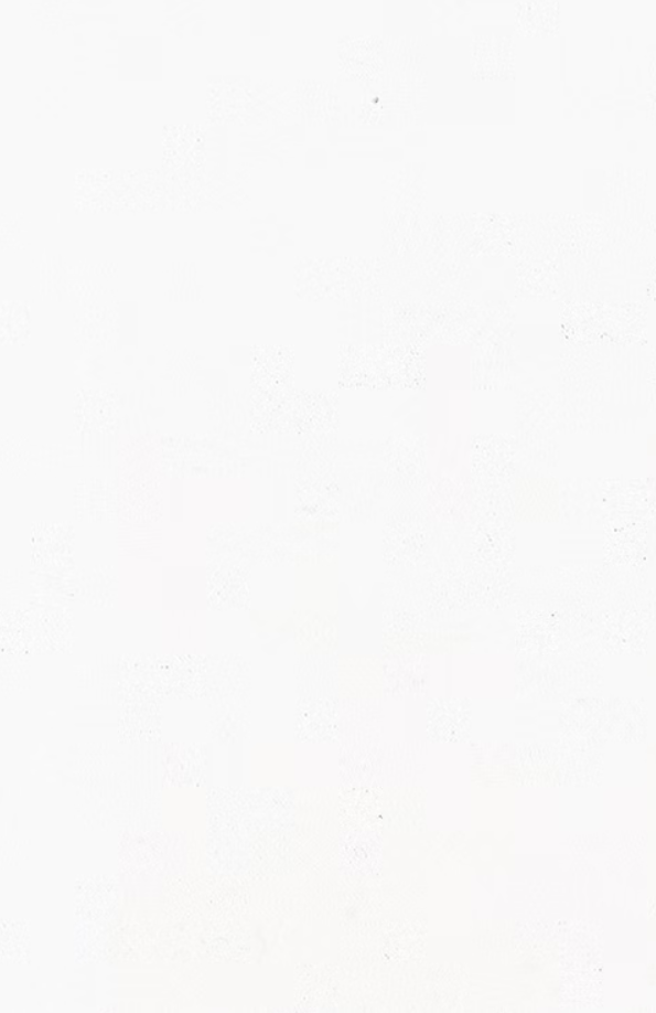 PURE WHITE - Polished