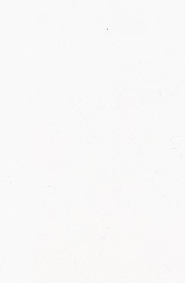 PURE WHITE - Polished